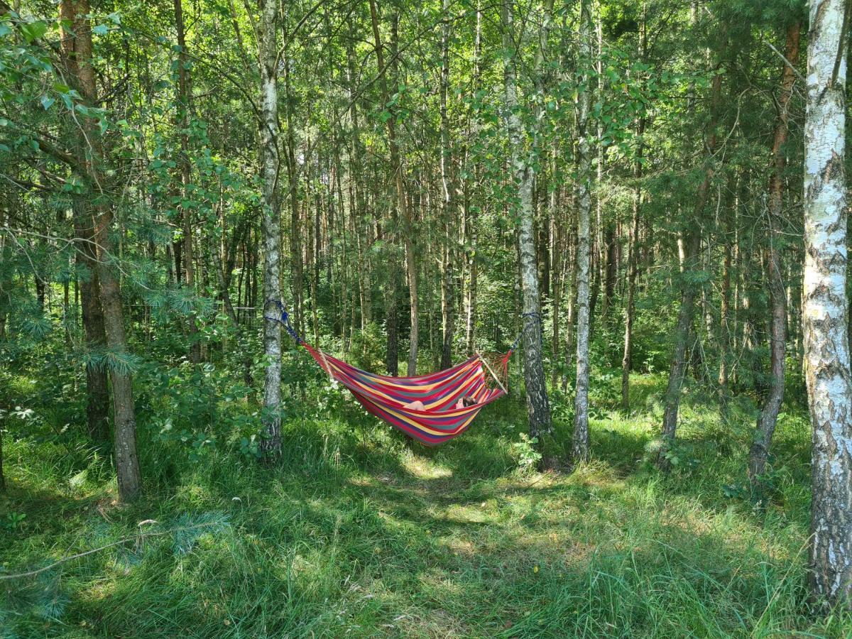 Dworek Ogrodniki, Caloroczny Dom Na Wylacznosc, Basen, Sauna, Las, Staw Rybny, Altana Grillowa, Ognisko, Pianino, Kominek, Piec Chlebowy, Duza Ogrodzona Posesja Tuczna Exterior photo